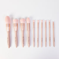 10 Piece Halouw Professional Brush set