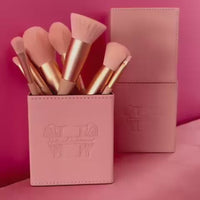 10 Piece Halouw Professional Brush set