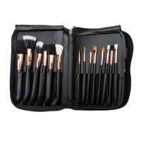 29 pc Brush Set Book