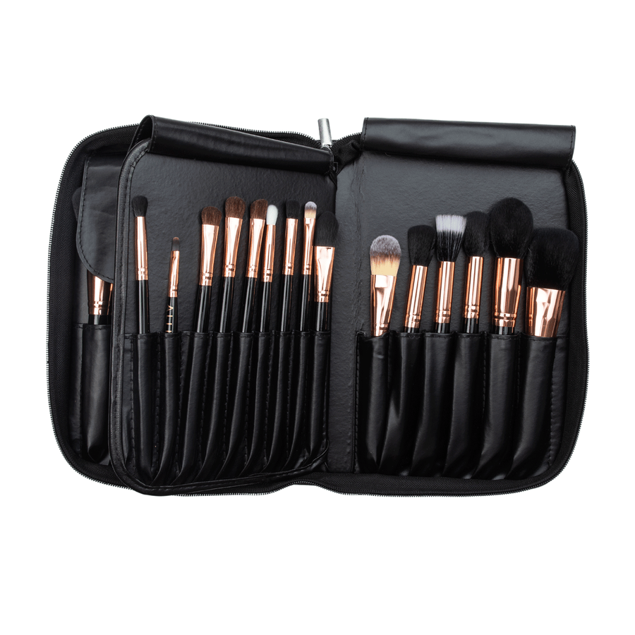 29 pc Brush Set Book